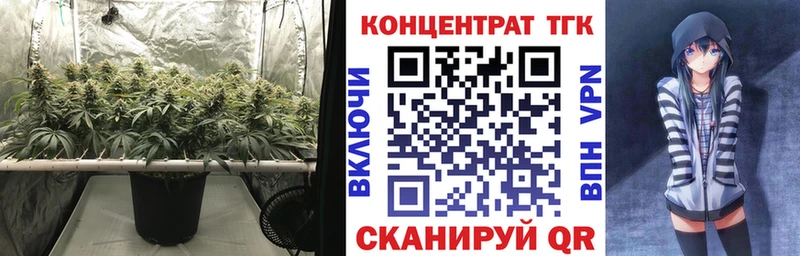 закладка  Ядрин  Дистиллят ТГК концентрат 